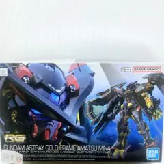HG スターゲイザーガンダム RG ガンダムアストレイ ゴールドフレーム天