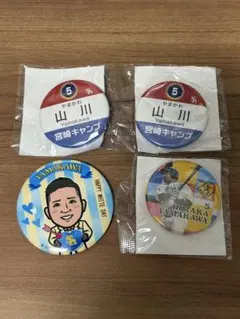 山川穂高選手 缶バッジ福岡ソフトバンクホークス - メルカリ