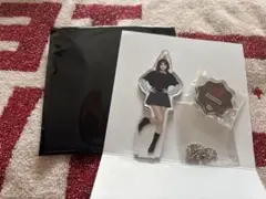 TWICE This is for ランダムミニアクスタチャーム モモ - メルカリ