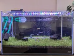 ADA 水槽台&ライトセット（お引き取り限定） 引き取り限定】ADA 水槽セット