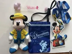 ディズニーリゾート　バケーションパッケージのグッズ