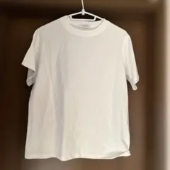 Item thumbnail for item 7ed02229-4481-4957-9751-00c089695483