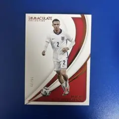 トレント・アレクサンダー・アーノルド サッカーカード panini 70シリ