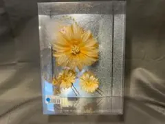 Item thumbnail for item 7d5af4eb-a5e5-4a0a-a770-3cdbeac2fdce