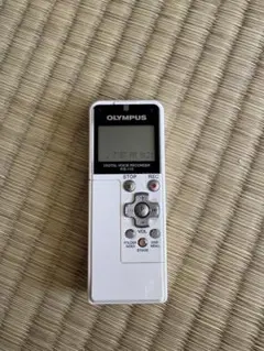 Item thumbnail for item f15a5268-1244-466d-b0f3-61a80d158ebf