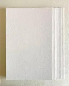 Item thumbnail for item fa79fd8d-08de-49e6-ad43-9013ed2d0d10