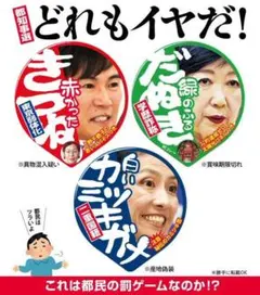 ダイソー 新型 完全ワイヤレスイヤホン Bluetooth スケルトン ホワイト