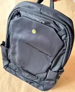 Item thumbnail for item 04b726ed-1c10-4dc9-b285-e0a32d97c66e