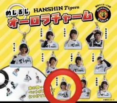 阪神タイガース　前川右京　めじるしオーロラチャーム　ガチャガチャの森