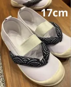 Item thumbnail for item 4d341b9f-31de-4686-9002-019fdf64b017