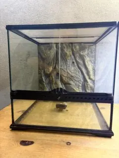中古美品GEXグラステラリウム　送料込み 爬虫類ケージ GEX エキゾテラ グラステラリウム 4545 + アクロ
