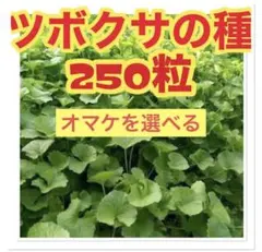 Tabby様 リクエスト 3点 まとめ商品