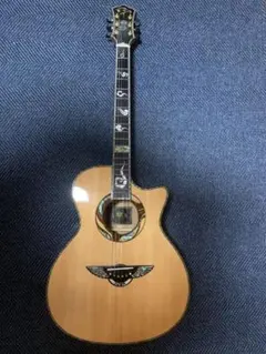 2025年最新】splendor ギターの人気アイテム - メルカリ