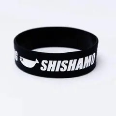 2026年最新】国内アーティスト：SHISHAMO ミュージシャン ラバーバンド