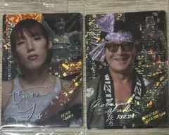 Item thumbnail for item 4212b669-60bc-447e-88a9-7e29b2159573