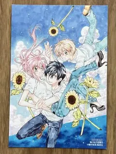 猫と私の金曜日 種村有菜 イラストカード 非売品 特典