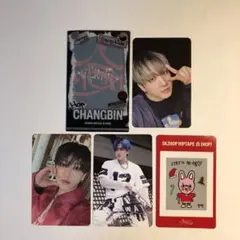 stray kids nemoz チャンビン