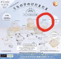 うちの子のけだまだま　三角たれみみ