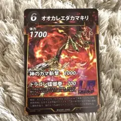 オオカレエダカマキリ