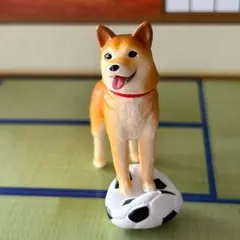 リーメント 日本犬フィギュア わんこの宝物付き