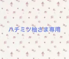 ハチミツ柚さま専用 1〜2月付録、特典