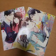 お前は俺のモノだろ？　1.2巻