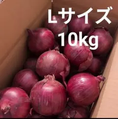 訳あり赤玉ねぎ20キロ - メルカリ