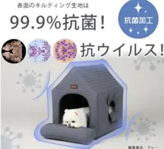 完売品Chocopethouse エブリデイハウス 3.0アイボリー　Lサイズのサムネイル