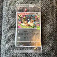 新品　イーブイ　ポケカバトルをはじめよう　キャンペーン　ポケモン　Eevee