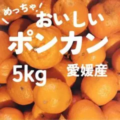7　おいしい愛媛産 ポンカン 5kg