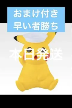 2025 Pokémon Collection 一番くじラストワン賞おまけ付き