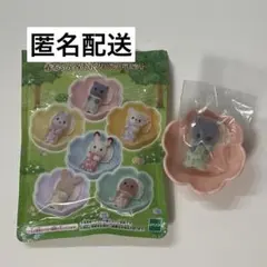 Item thumbnail for item 8aa8fac4-5f2f-44b8-991f-a0bc206af074