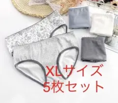 XLサイズ5枚セット【レディース ショーツ】コットンショーツ下着