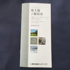 東急不動産ホールディングス 株主優待券 100株 2025年12月発行