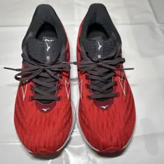 WAVE RIDER28 27.5cm SW MIZUNO ミズノ