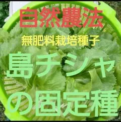 tomo様 リクエスト 4点 まとめ商品
