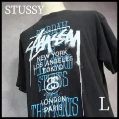 STUSSY Tシャツ　ワールドツアー　Lサイズ　ブラック　人気デザイン