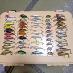 Item thumbnail for item cf80e2ff-1f61-411b-8d14-47e0c43a7f1e