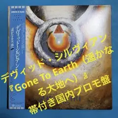 2026年最新】david sylvianの人気アイテム - メルカリ