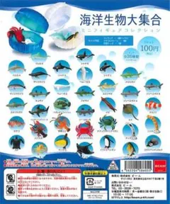 海洋生物大集合 ミニフィギュアコレクション