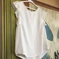 Item thumbnail for item 6338a493-3a8f-4971-a96e-a41a999ed54d