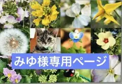 みゆ様専用ページ