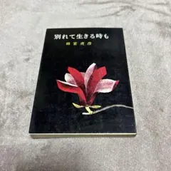 Item thumbnail for item e25021bf-c63e-4e36-a3f3-5835c536ce36