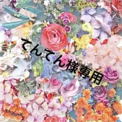 てんてん様専用