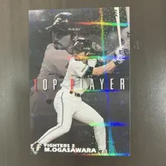 Item thumbnail for item b1cb6d49-51a3-4b5c-b9bf-9459b29ecb66