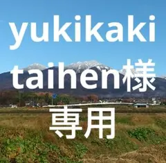 yukikakitaihen様 リクエスト 2点 まとめ商品