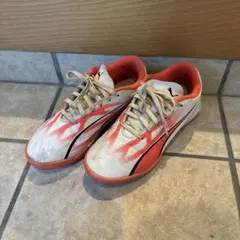 Item thumbnail for item 2d3dd1aa-6a7f-4b49-be81-932ecf799644