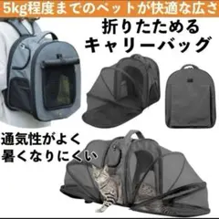 Item thumbnail for item 1c0a90ca-68ce-4d23-b9ff-61131d97f2e5