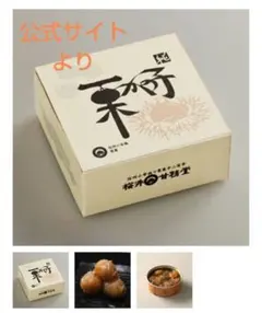 栗かの子　小布施　桜井甘精堂のサムネイル