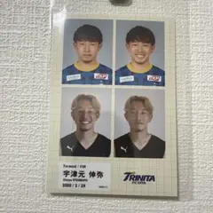 Item thumbnail for item 0ba4f49c-df0d-4eed-bdaf-9d0b41993f62